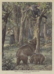 Eroismo di una fanciulla che salva il padre assediato da un orso